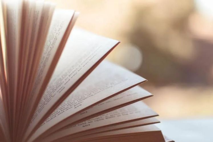 嚴偉坤：破產(chǎn)信息化手段運用的思考