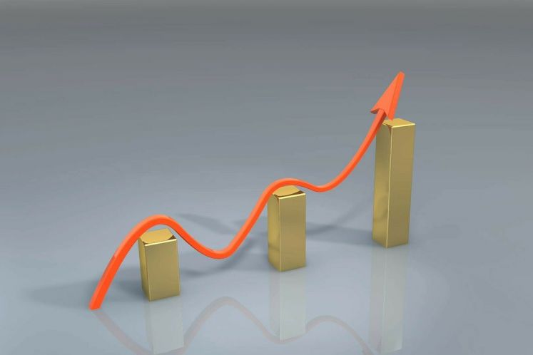 經營利潤下滑，螞蟻出海找答案